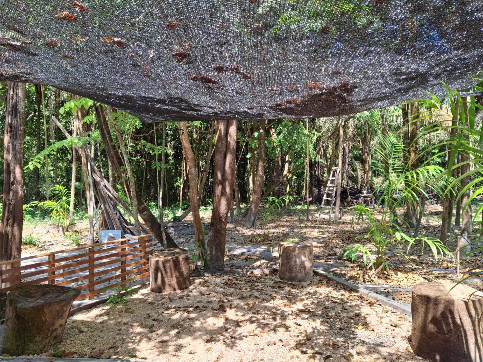Villa Casa Da Mata Marajo à Salvaterra Extérieur photo